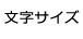 文字サイズ