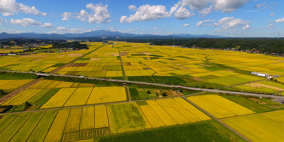 栗原の田園風景