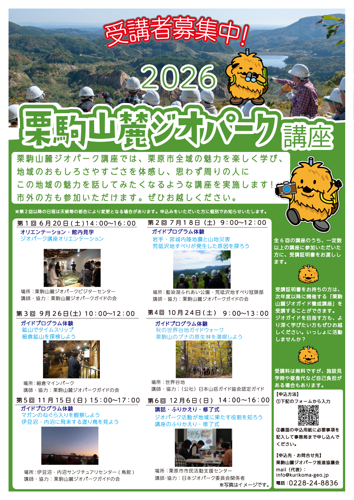 の画像
