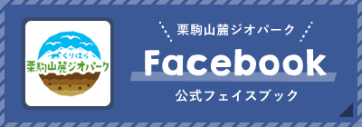 公式facebookの画像