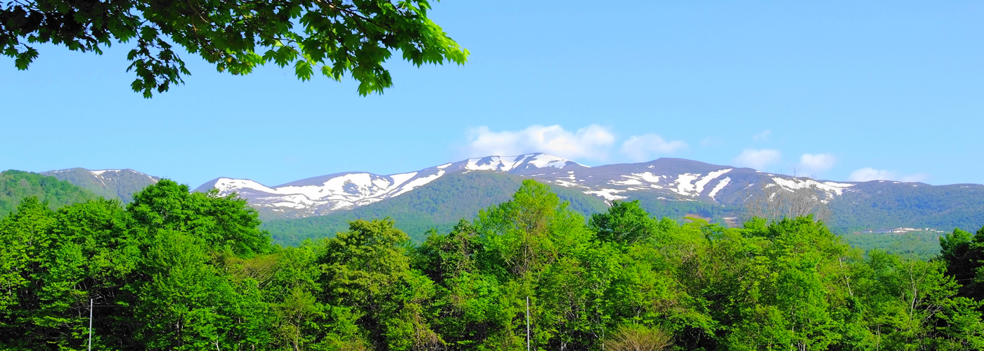 栗駒山の駒形の画像