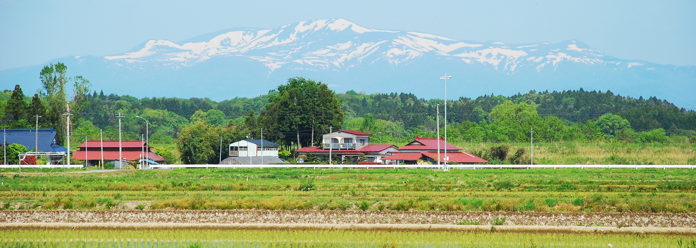 栗駒山と水田の画像