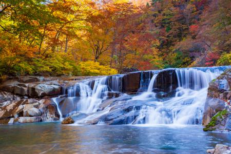 紅葉と滝の画像