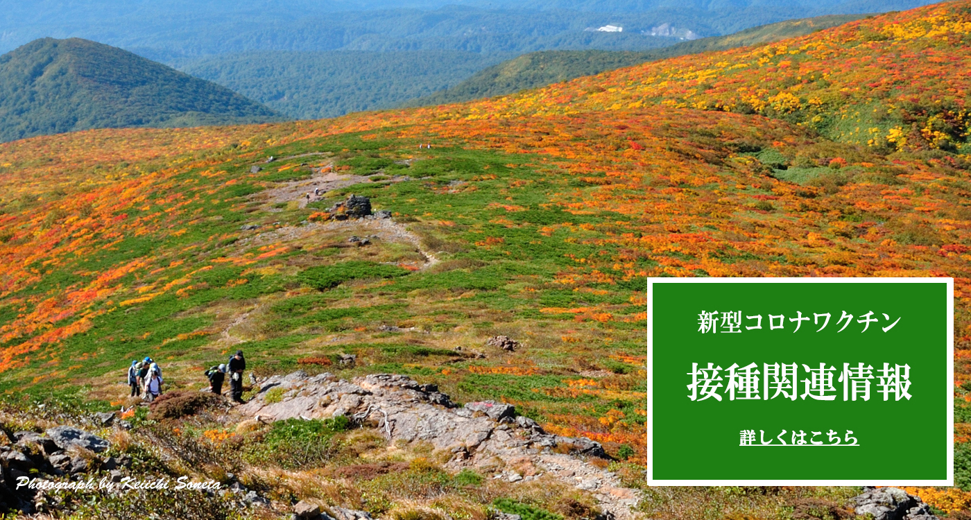 栗駒山の紅葉の画像