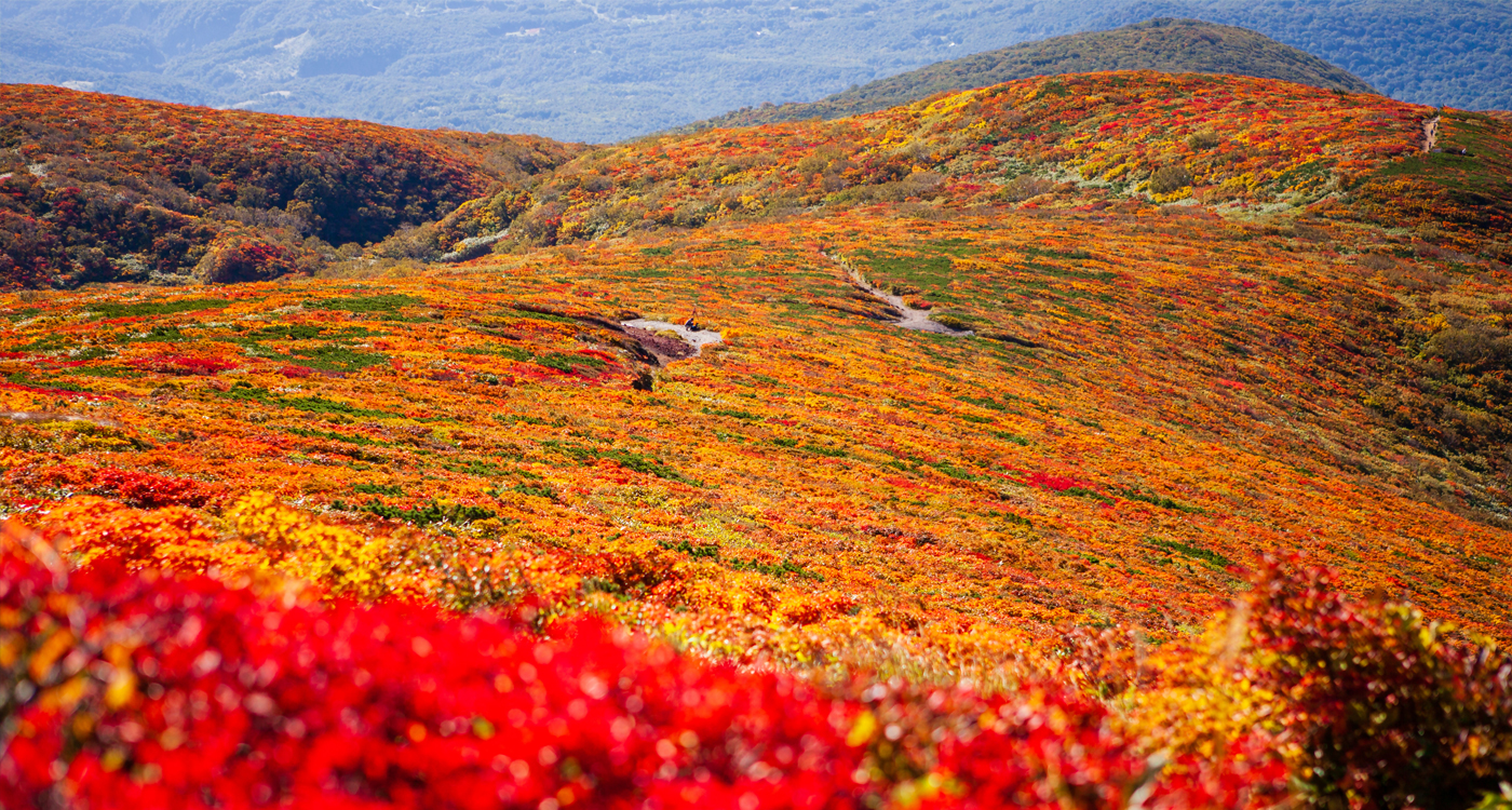 栗駒山の山頂の画像