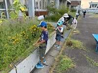 PTA早朝作業