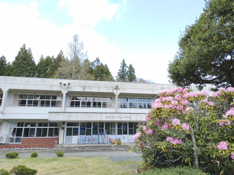 石楠花と校舎