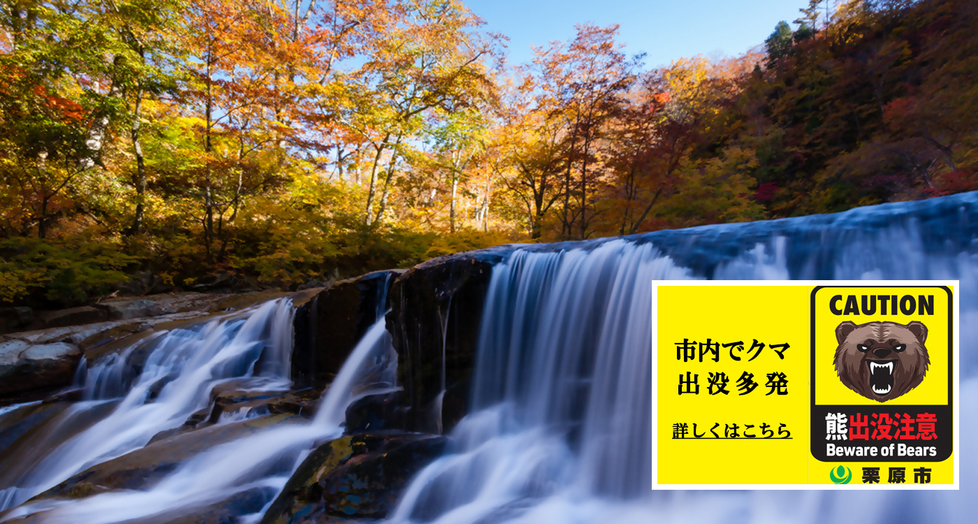 市内でクマ出没多発の画像