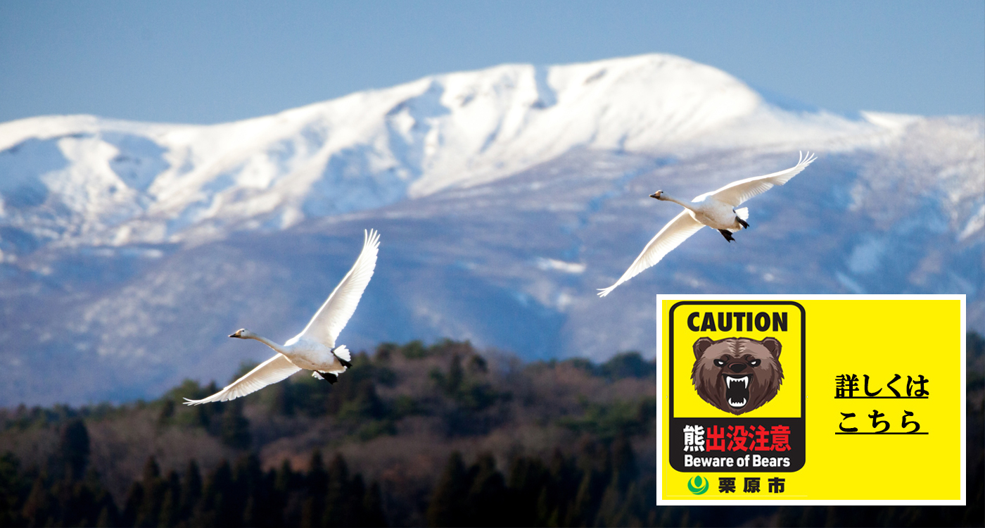 クマ出没注意の画像