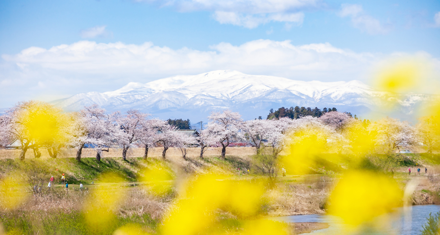 若柳地区の春景色の画像