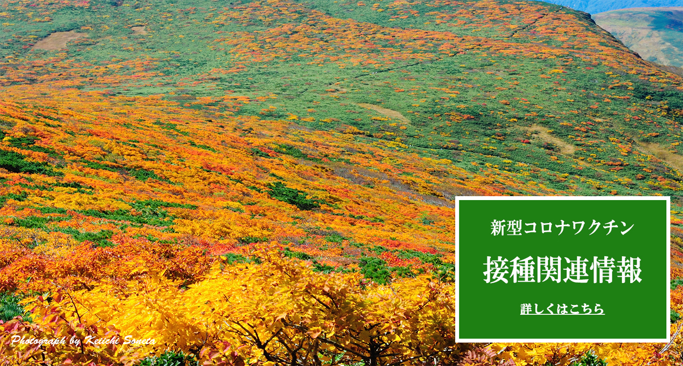 紅葉の栗駒山の画像