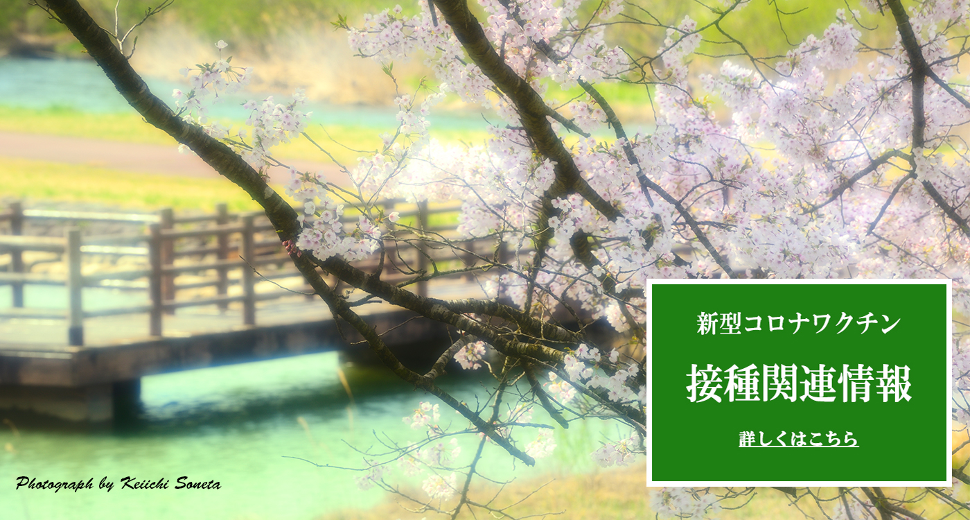 栗原の春の画像