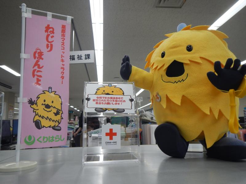 の画像