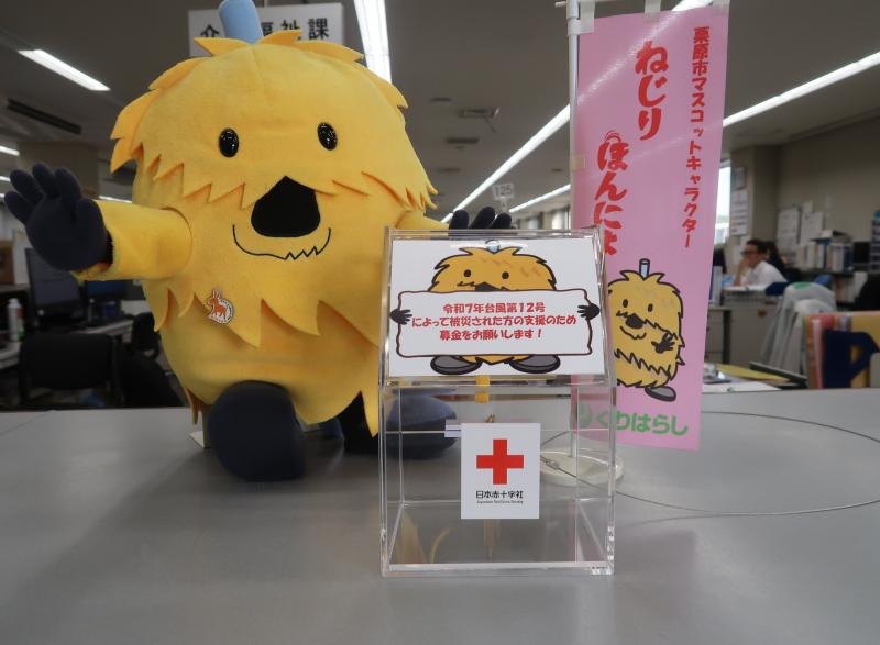 の画像