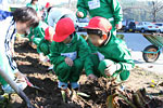 写真:将来像3のイメージ、小学校の植栽活動