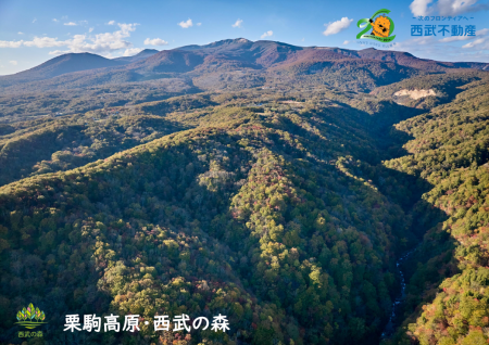 栗駒高原・西武の森