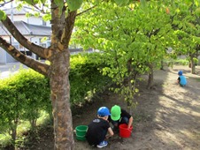 園活動の写真