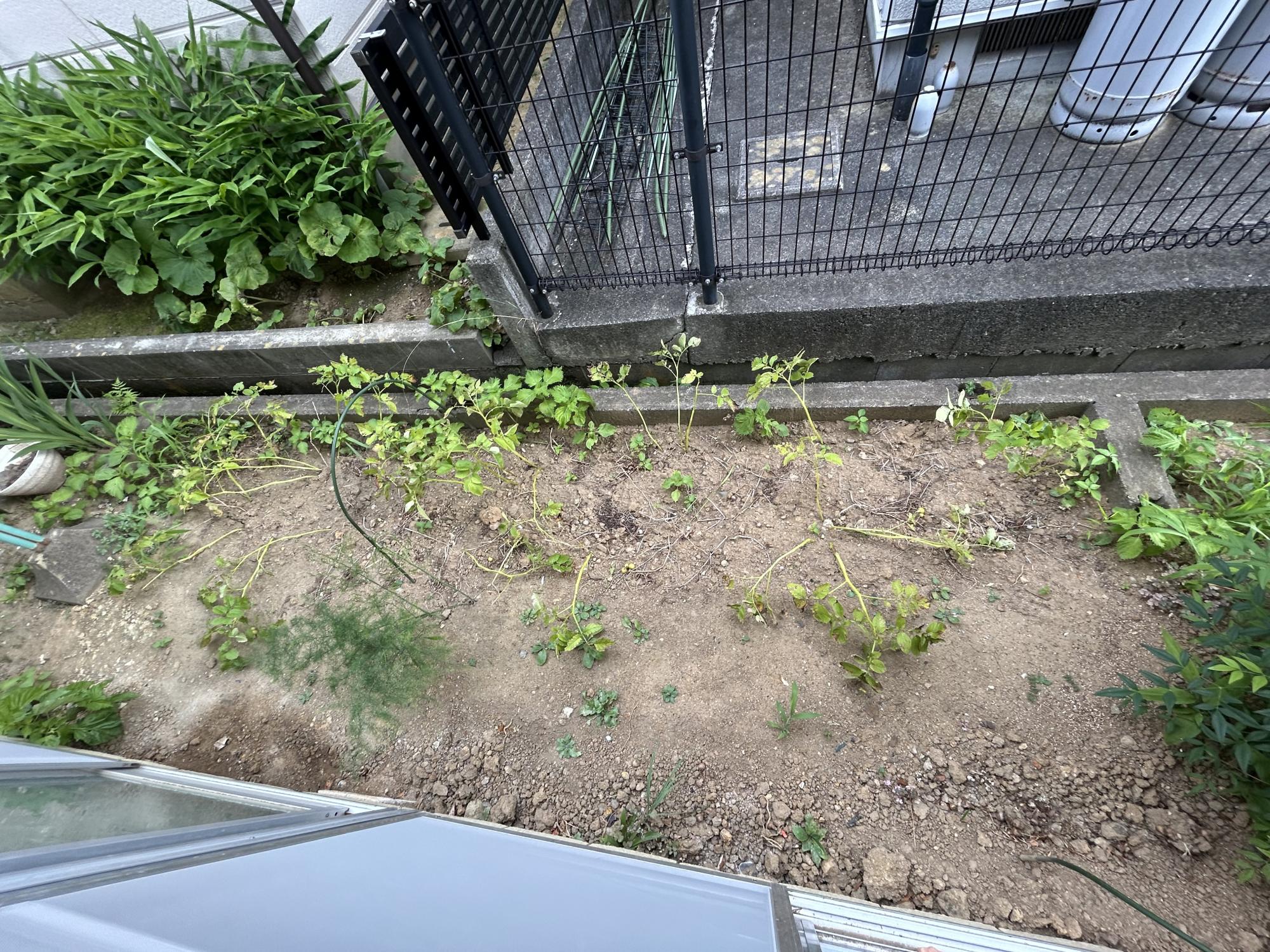 物件0238菜園スペースの画像
